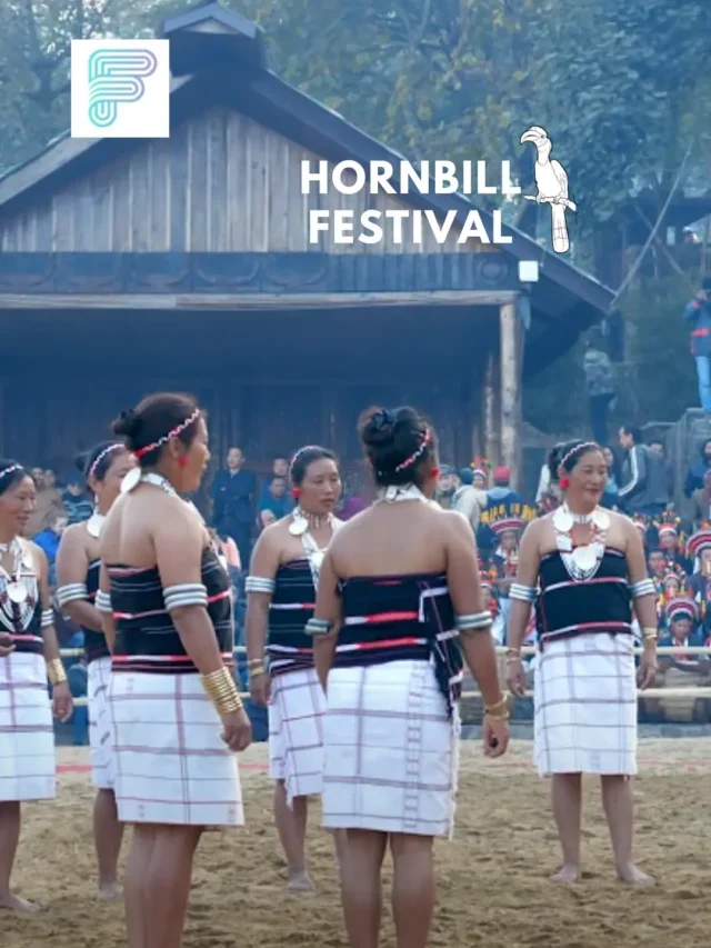 10 Reasons must attend Hornbill Festival 2023